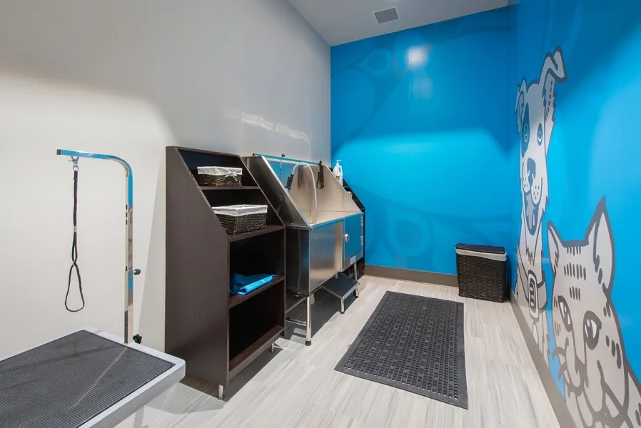Pet-friendly amenities